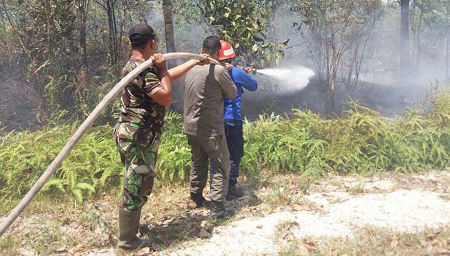 Kembali, Kebakaran Terjadi di Kampar Utara